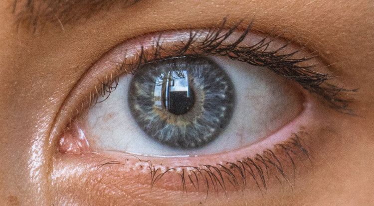 A Window into the Eyes