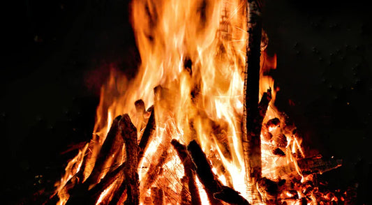 Dr. Lad Talk: The Fire Within - Gut Health Simplified