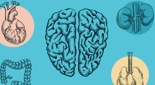 Dr. Lad Talk: Foundation of Ayurveda